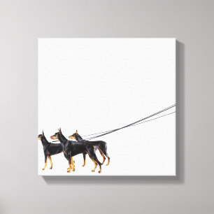 Three Dobermans on leash Canvas Print