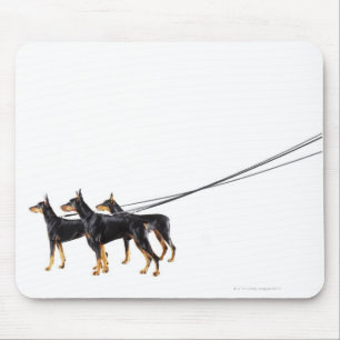 Three Dobermans on leash Mouse Mat