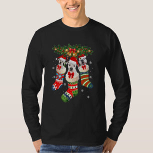 Three Dogo Argentino In Sock Christmas Santa X Mas T-Shirt