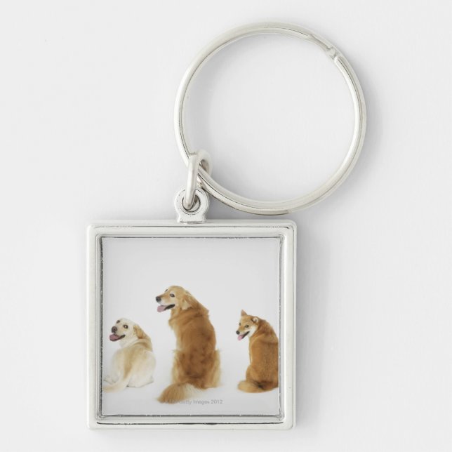 Three dogs looking at camera key ring (Front)