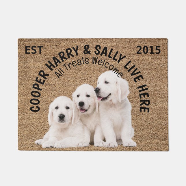 Three Dogs Personalised Dog Lover Doormat (Front)