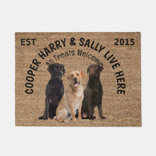 Three Dogs Personalised Dog Lover Doormat