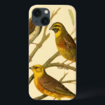 Three Domestic Birds Perched on a Branch iPhone 13 Case<br><div class="desc">Artist W. Rutledge captured perfectly the vivid colours of those domestic birds. Get this simple yet beautifully realistic painting. Side view of two yellow birds and one darker bird on a branch and looking in different directions.</div>