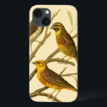 Three Domestic Birds Perched on a Branch iPhone 13 Case<br><div class="desc">Artist W. Rutledge captured perfectly the vivid colours of those domestic birds. Get this simple yet beautifully realistic painting. Side view of two yellow birds and one darker bird on a branch and looking in different directions.</div>