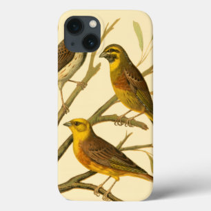Three Domestic Birds Perched on a Branch iPhone 13 Case