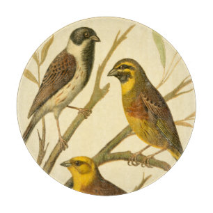 Three Domestic Birds Perched on a Branch Cutting Board