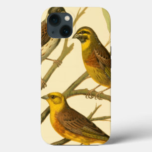 Three Domestic Birds Perched on a Branch iPhone 13 Case