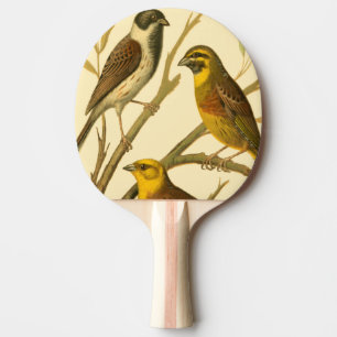 Three Domestic Birds Perched on a Branch Ping Pong Paddle