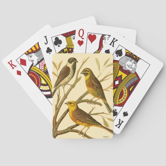 Three Domestic Birds Perched on a Branch Playing Cards (Back)
