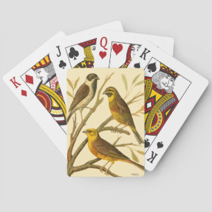 Three Domestic Birds Perched on a Branch Playing Cards