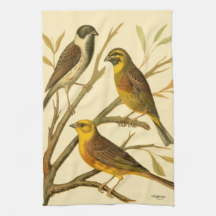 Three Domestic Birds Perched on a Branch Tea Towel