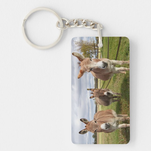Three Donkey’s Key Ring (Front)