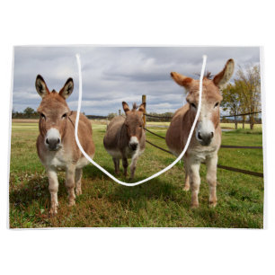 Three Donkey’s Large Gift Bag