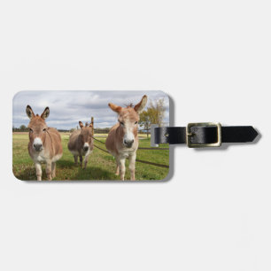 Three Donkey’s Luggage Tag