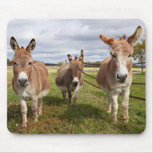 Three Donkey’s Mouse Mat
