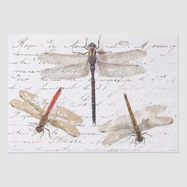 Three Dragonfly French Script Decoupage Vintage    Tissue Paper (Front)