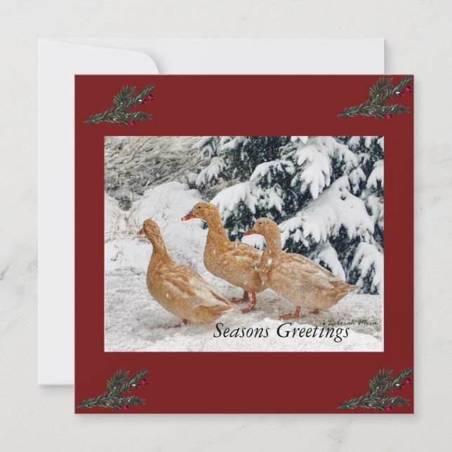 Three Duck Parade In Snow Flat Holiday Cards  (Front)