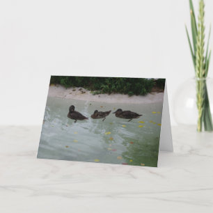"Three Ducks" Thank You Card