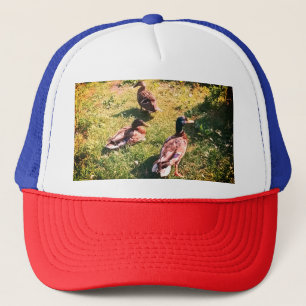Three ducks trucker hat