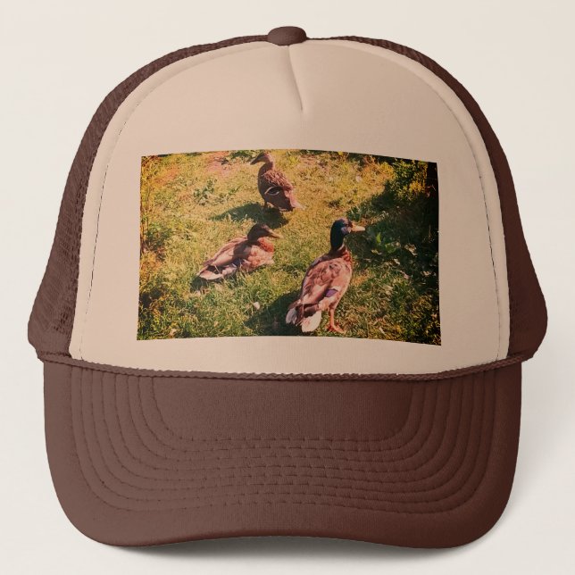 Three ducks trucker hat (Front)