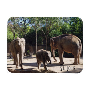 Three Elephants Magnet
