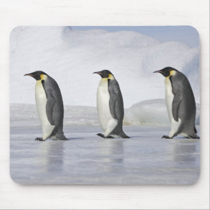 Three Emperor Penguins, Snow Hill Island Mouse Mat