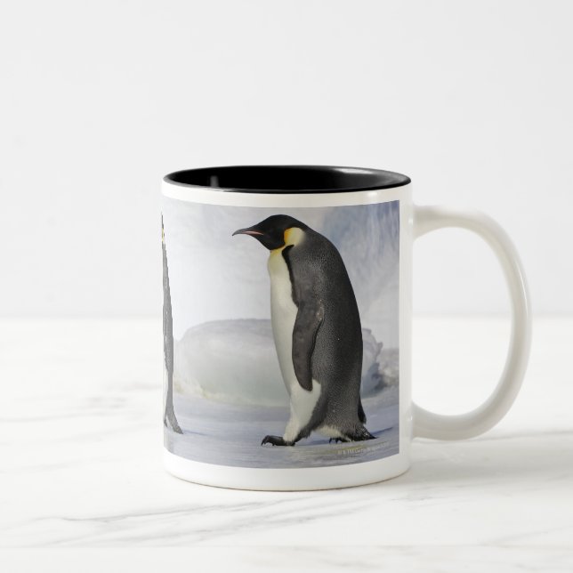 Three Emperor Penguins, Snow Hill Island Two-Tone Coffee Mug (Right)