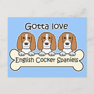 Three English Cocker Spaniels Postcard