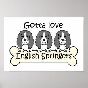 Three English Springer Spaniels Poster