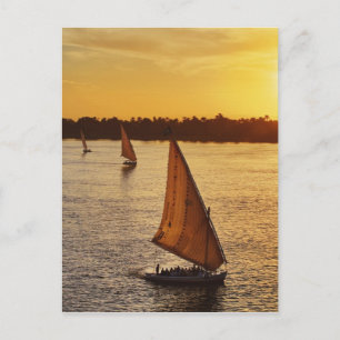 Three falukas with sightseers on Nile River at Postcard
