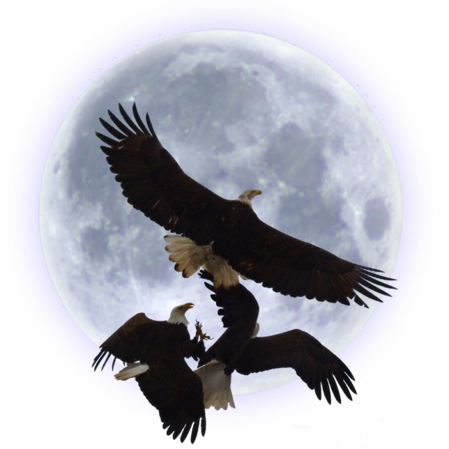 THREE FIGHTING BALD EAGLES Sculpted Gift Photo Sculpture Magnet (Front)
