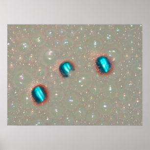 Three Fingers In The Foam Poster