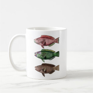 Three Fish, Parrot Fish Mug