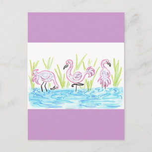 Three Flamingos Postcard