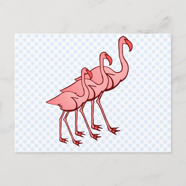 Three Flamingos Postcard (Front)