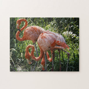 Three Flamingos Puzzle