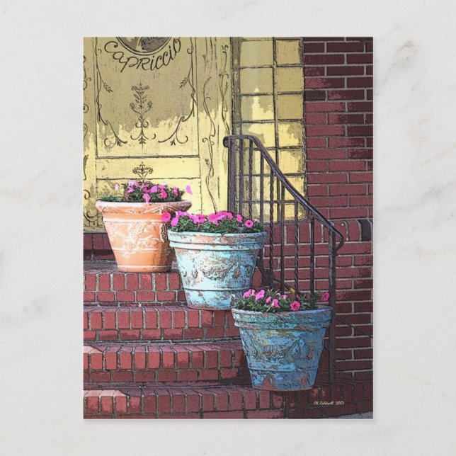 Three Flower Pots Postcard (Front)
