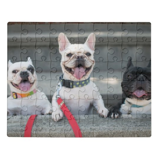 Three French Bulldogs Jigsaw Puzzle Zazzle.co.uk