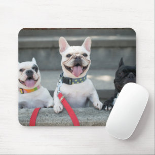 Three French Bulldogs Mouse Mat