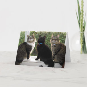 Three Friends "Time For Cake" Birthday Card