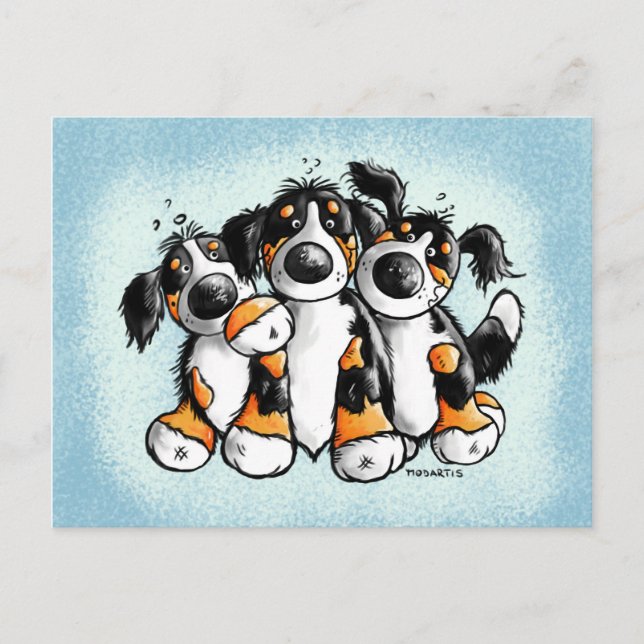 Three Funny Bernese Mountain Dogs Postcard (Front)