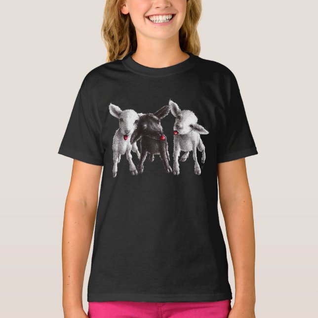 Three Funny Cheeky Sheep T-Shirt (Front)
