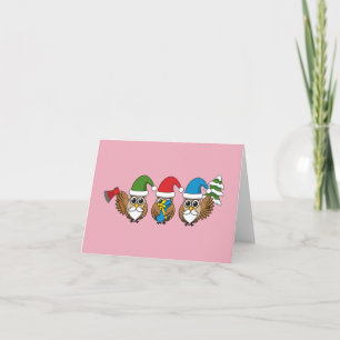 Three Funny Christmas Gnome Owls Card