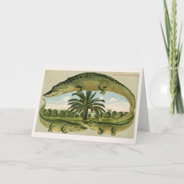 Three Gators & a Palm Tree Card (Front)