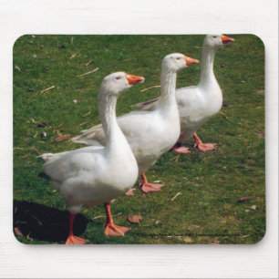 Three Geese a Strutting - Mousemat. Customise. Mouse Mat