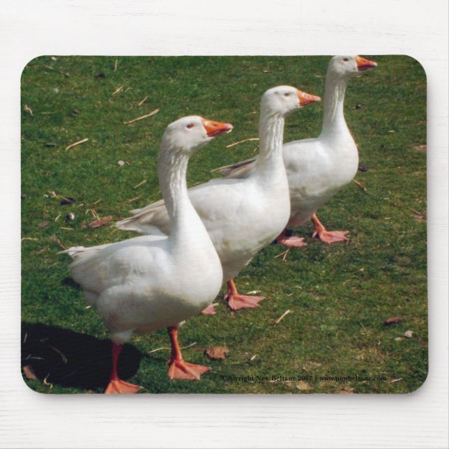 Three Geese a Strutting - Mousemat. Customise. Mouse Mat (Front)