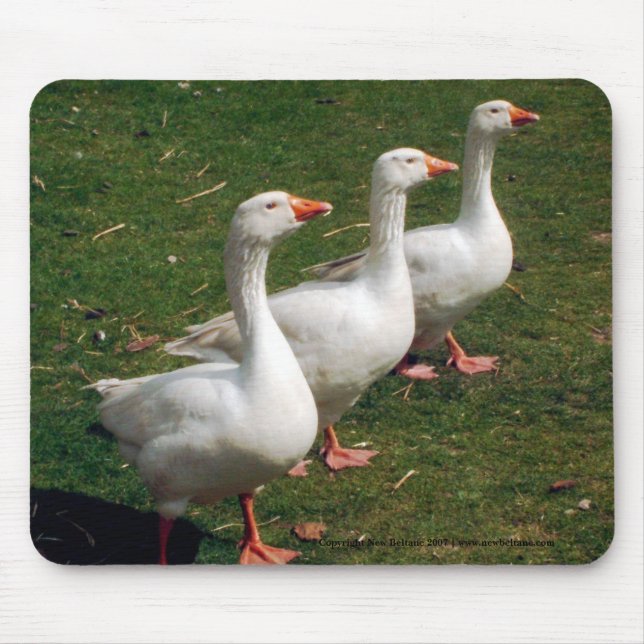 Three Geese a Strutting - Mousemat. Customise. Mouse Mat (Front)