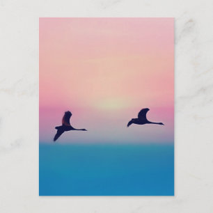 Three Geese In Flight Postcard