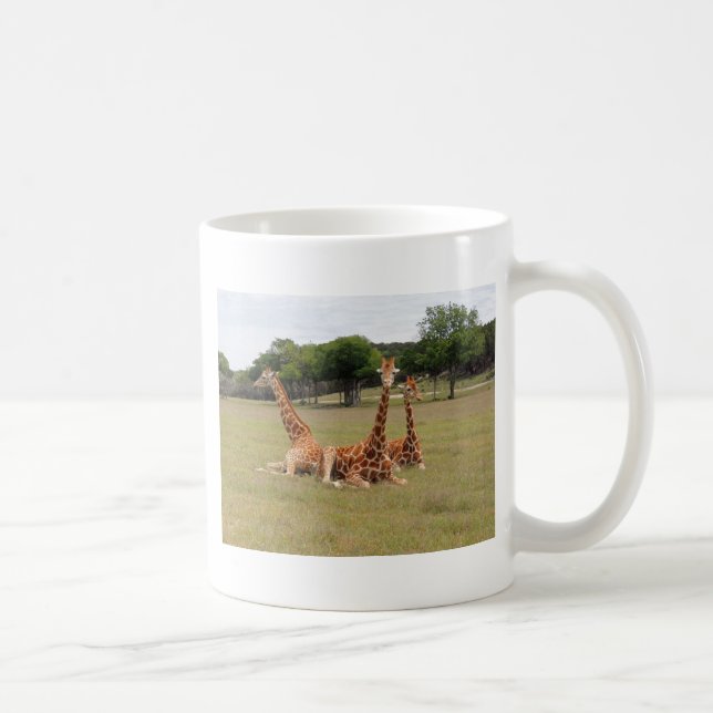 Three Giraffe at Fossil Rim Coffee Mug (Right)