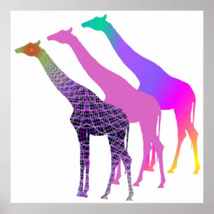 Three Giraffes Design 4 Poster